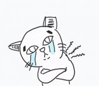 Cat GIF