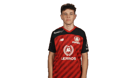 Bayer Leverkusen Esports Sticker by Bundesliga