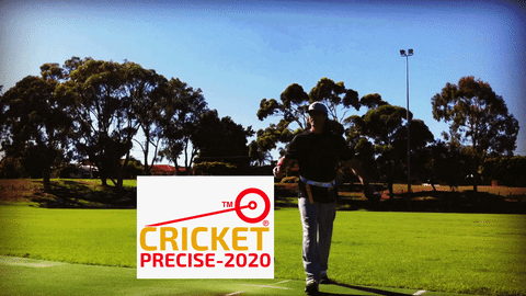 cricket precise GIF