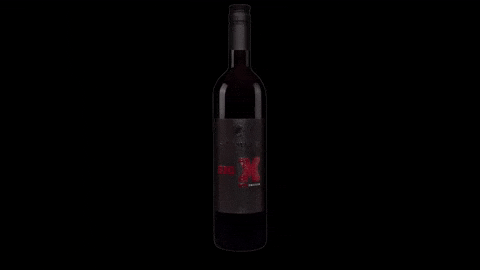 Cheers Wine GIF by Weingut Schmidt