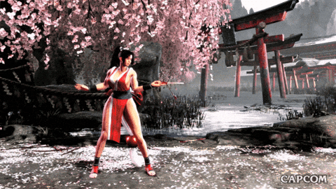 Video Game Fan GIF by CAPCOM