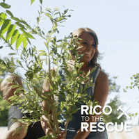 Disappear Not Me GIF by Watt Pictures