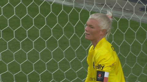 Come On Eyeroll GIF by National Women's Soccer League