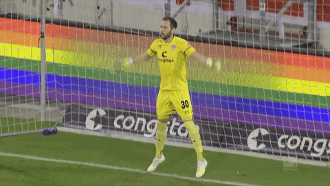 Sankt Pauli Goalkeeper GIF by FC St. Pauli