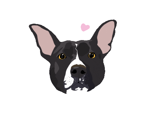 Rescue Adopt Sticker by Watertown Humane Society