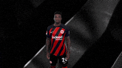 Heart Love GIF by Eintracht Frankfurt