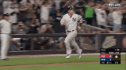 Yankees GIF by Jomboy Media
