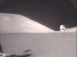 GIF by TVP.PL