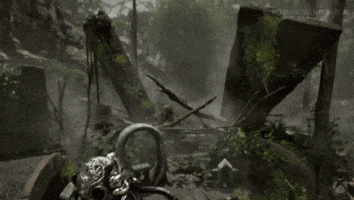 Loop Jungle GIF by Xbox