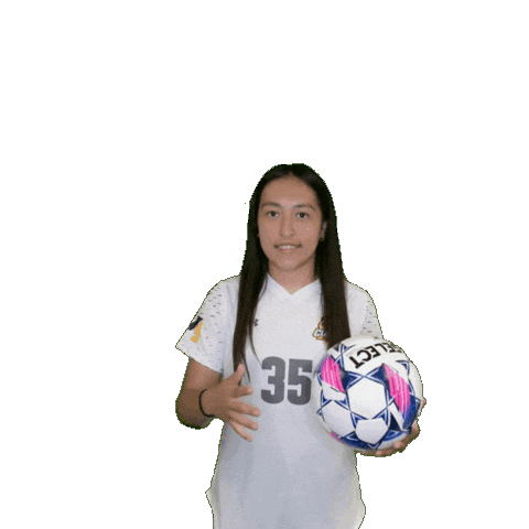 Womens Soccer Sticker by Clarke University