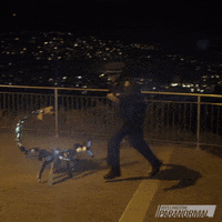 Robot Fall Over GIF by Wellington Paranormal