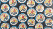 goal bravo GIF by Petrossian