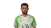 celebrating vfl wolfsburg Sticker by Bundesliga