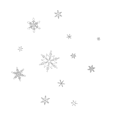Winter Effects Sticker