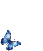 SOLSILVAS2 stickers butterfly solsilvas2 criativos da sol Sticker