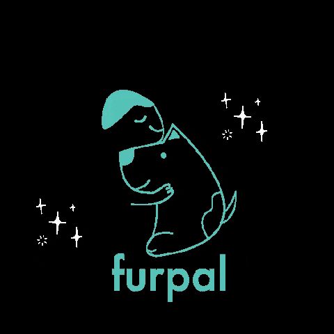 furpal giphygifmaker giphyattribution dog pet GIF