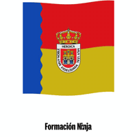 Castilla Y Leon Bandera GIF by Formación Ninja