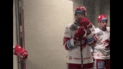 High Five Ice Hockey GIF by HC Oceláři Třinec