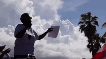 puerto rico bad bunny protests residente rickyrenuncia GIF