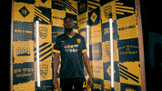 Celebration Hype GIF by New Mexico United