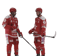 Stjernen Elite Sticker by StjernenHockey