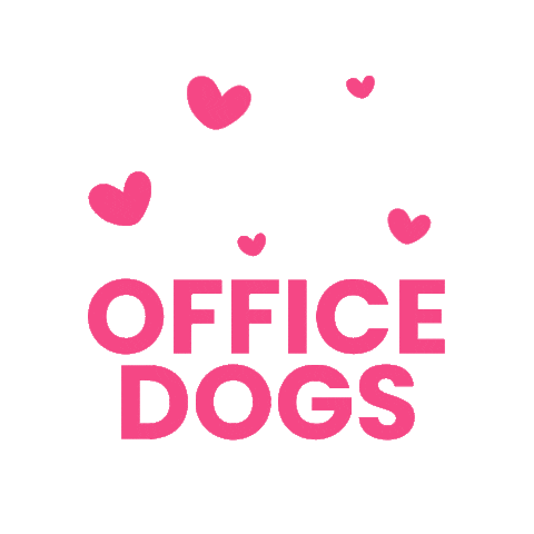 peakydigitalagency giphyupload marketing office dog peakydigital Sticker