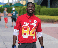 Pittsburgh Steelers Smile GIF by NFL