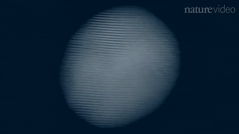 seninhikayen giphygifmaker GIF