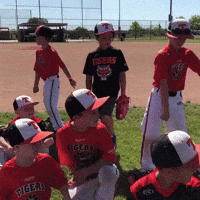 rawlingstigers dance baseball win mlb GIF