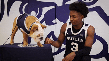 Butler Bulldogs Dog GIF by Butler University