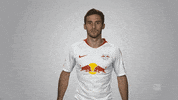 rb leipzig GIF by Bundesliga