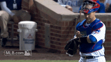 Chicago Cubs Baseball GIF by MLB