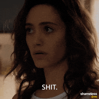 episode 1 showtime GIF by Shameless