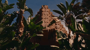 GIF by Pitchfork
