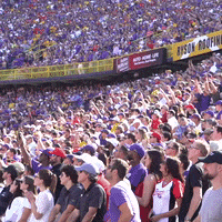 College Sports Football GIF by LSU Tigers