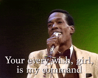 All I Need Girl GIF by The Ed Sullivan Show