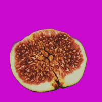 Avocado Uva GIF