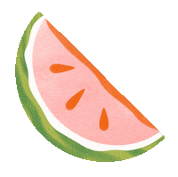 jenleembruggen illustration fruit watermelon slice Sticker