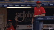 Wait For It Challenge GIF by Cincinnati Reds