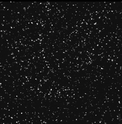 Linqproject giphyupload GIF