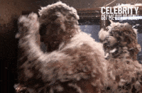 Imacelebrityau GIF by I'm A Celebrity... Get Me Out Of Here! Australia