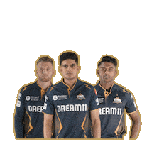 Ipl Gt Sticker by Gujarat Titans