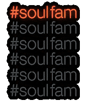 friends family Sticker by SoulCycle