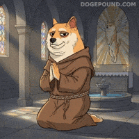 Shiba Inu Please GIF by Doge Pound