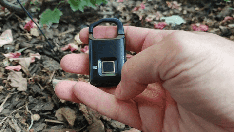 madalinliviu giphyupload GIF