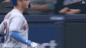 High Five Major League Baseball GIF by New York Mets