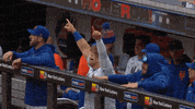 Happy Major League Baseball GIF by New York Mets