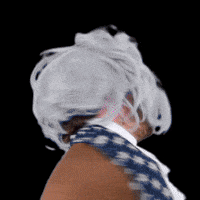 Riz GIF