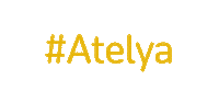 Kanal D Leyla Sticker by Ay Yapım