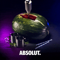 drinks lets grab a drink GIF by Absolut Vodka